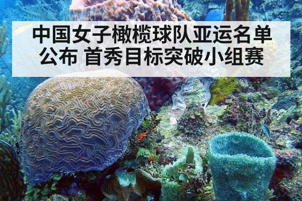 中国女子橄榄球队亚运名单公布 首秀目标突破小组赛